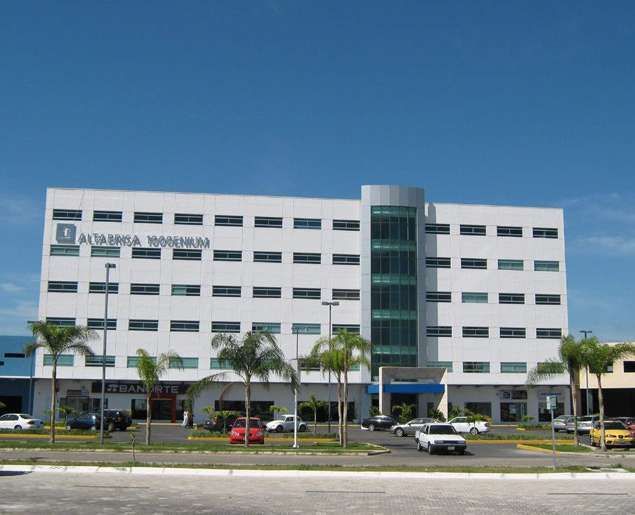 11 de 31