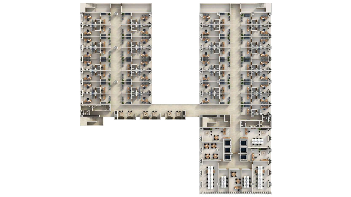 20 de 31