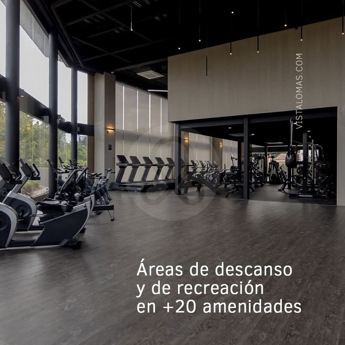 12 de 16
