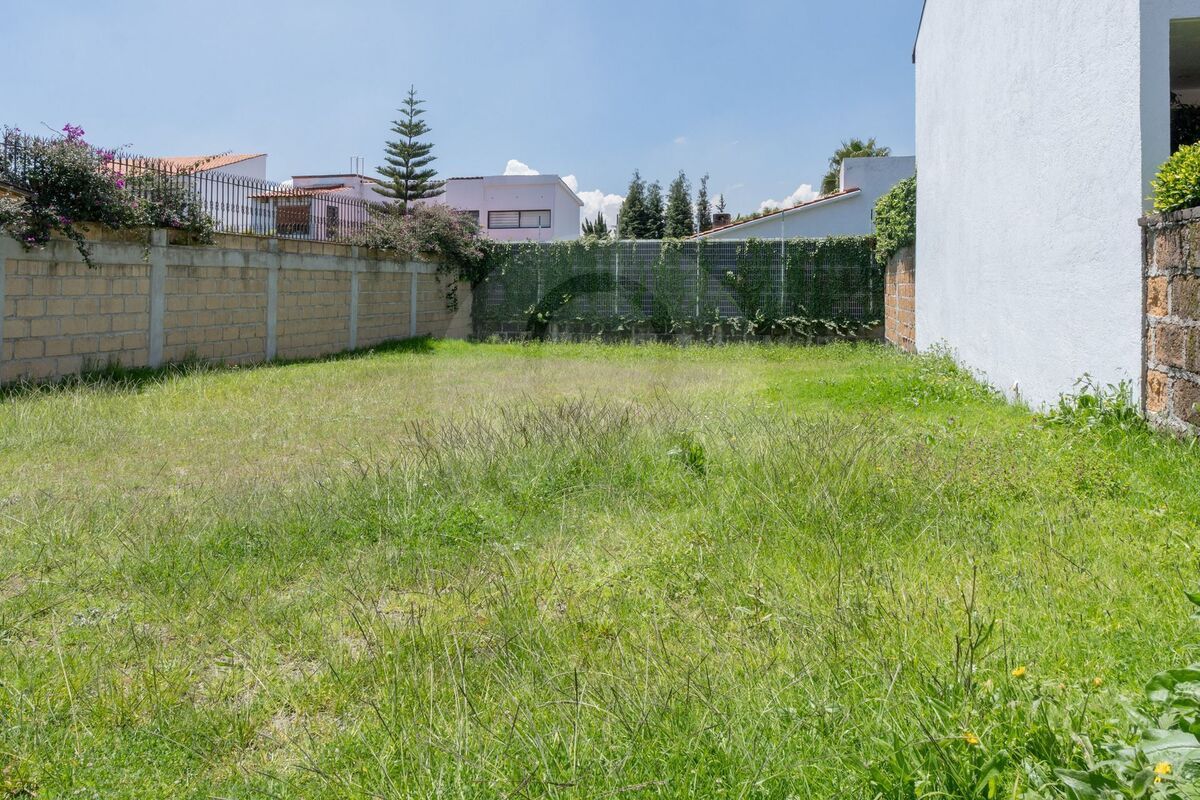 1 de 24
