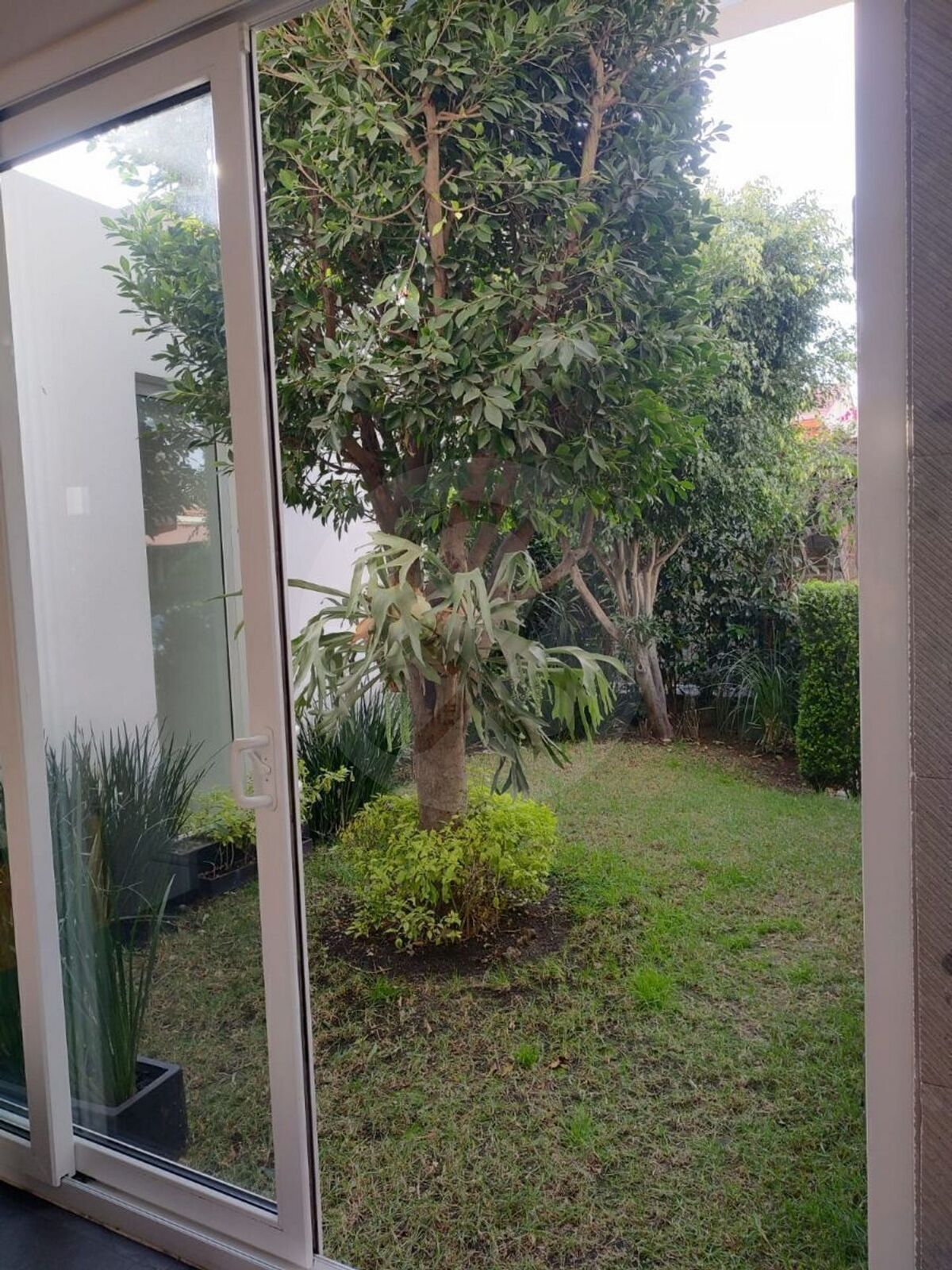 27 de 31