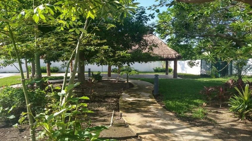 5 de 12: una palapa en lunamar playa del carmen