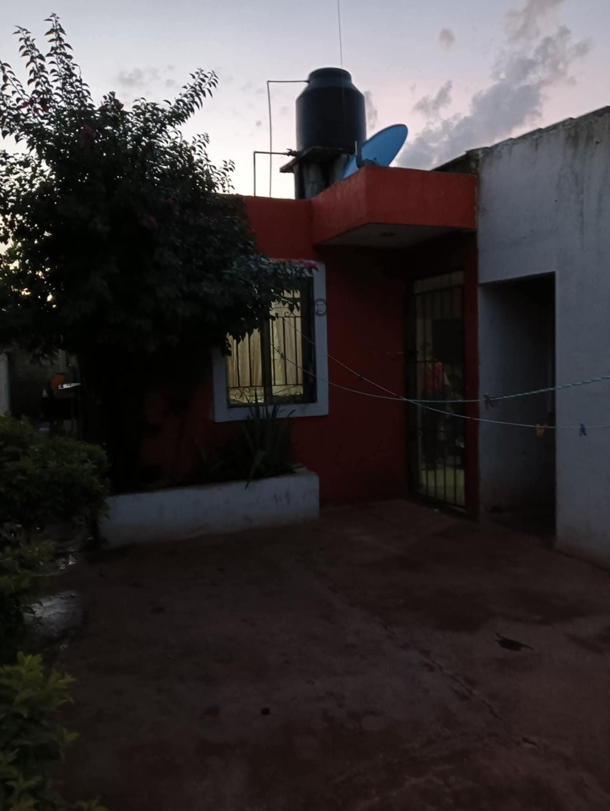 5 de 12