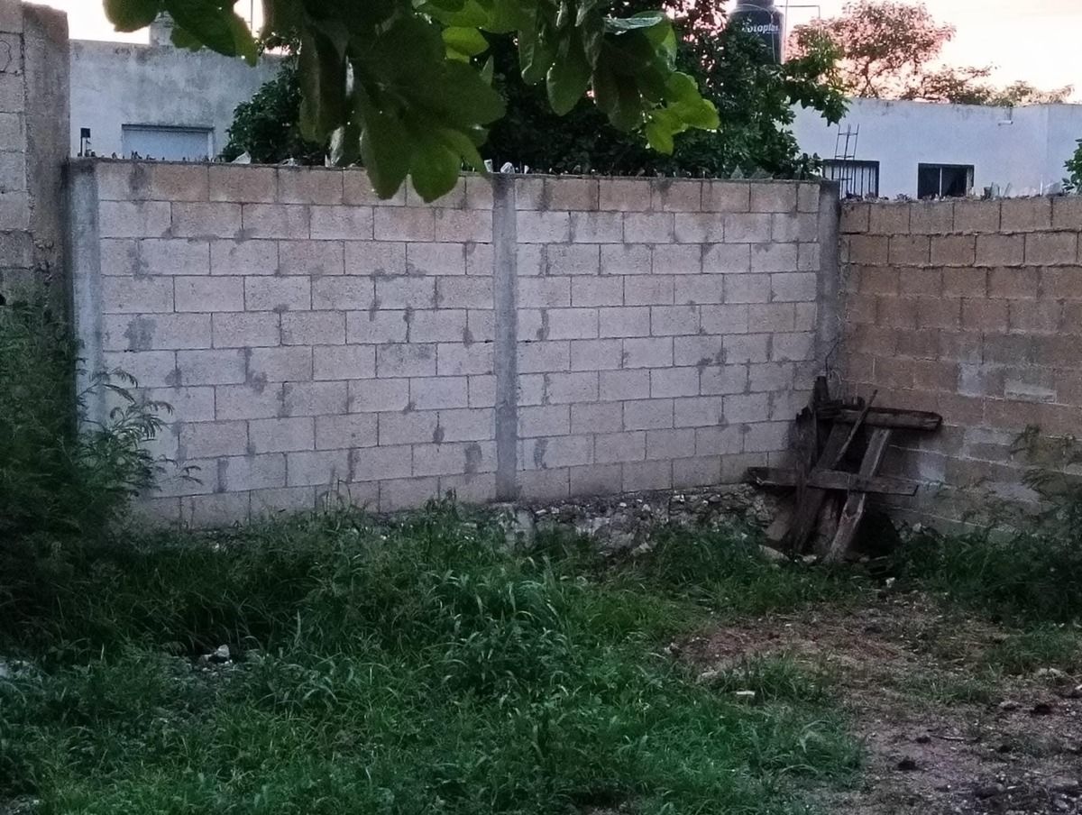12 de 12