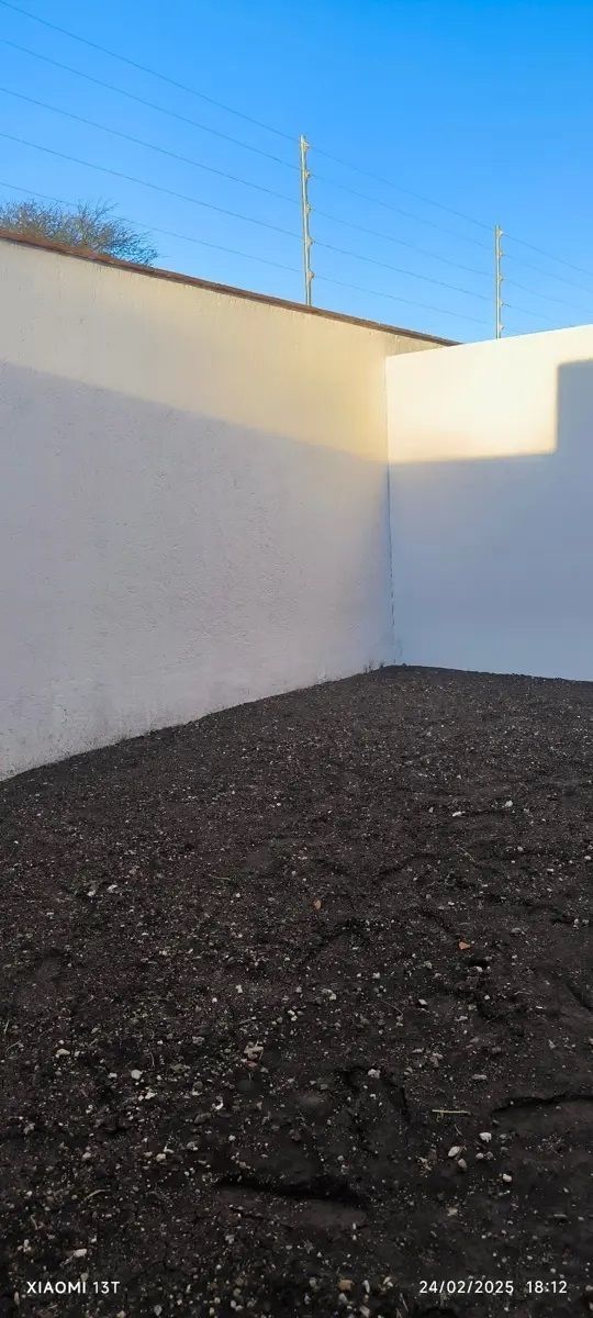 11 de 11