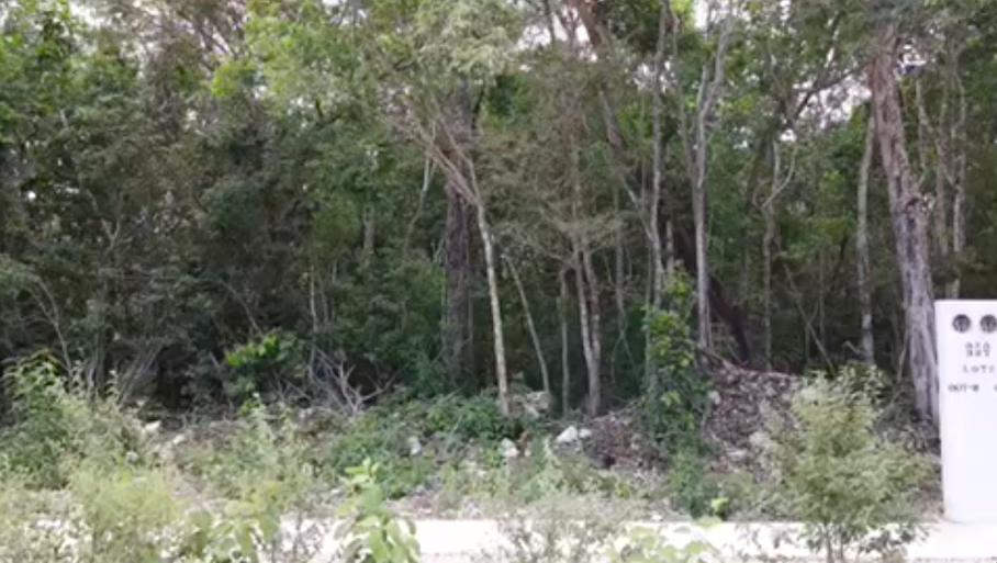 2 de 8