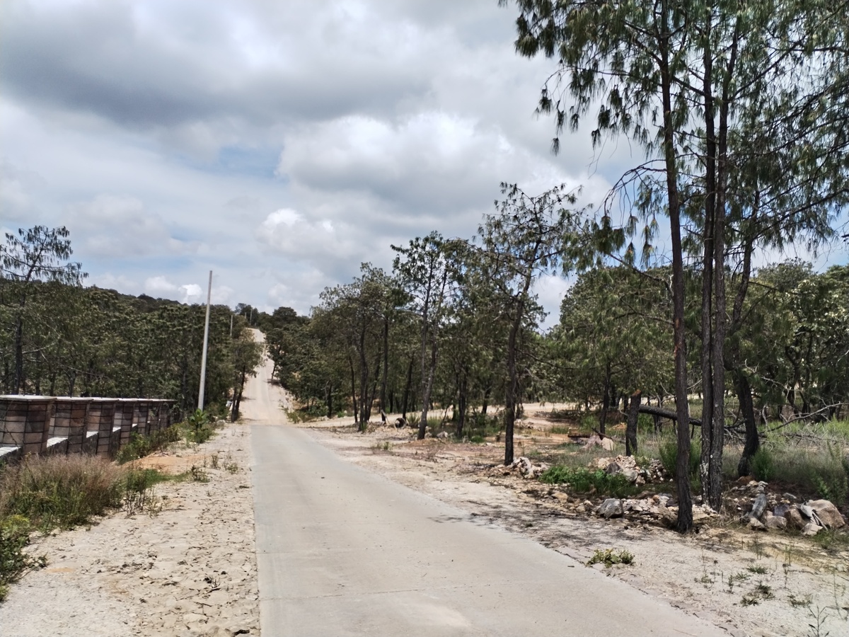 2 de 33: calles pavimetadas