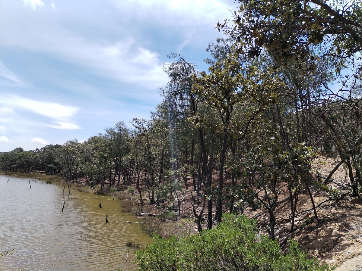 15 de 33: vsita lago