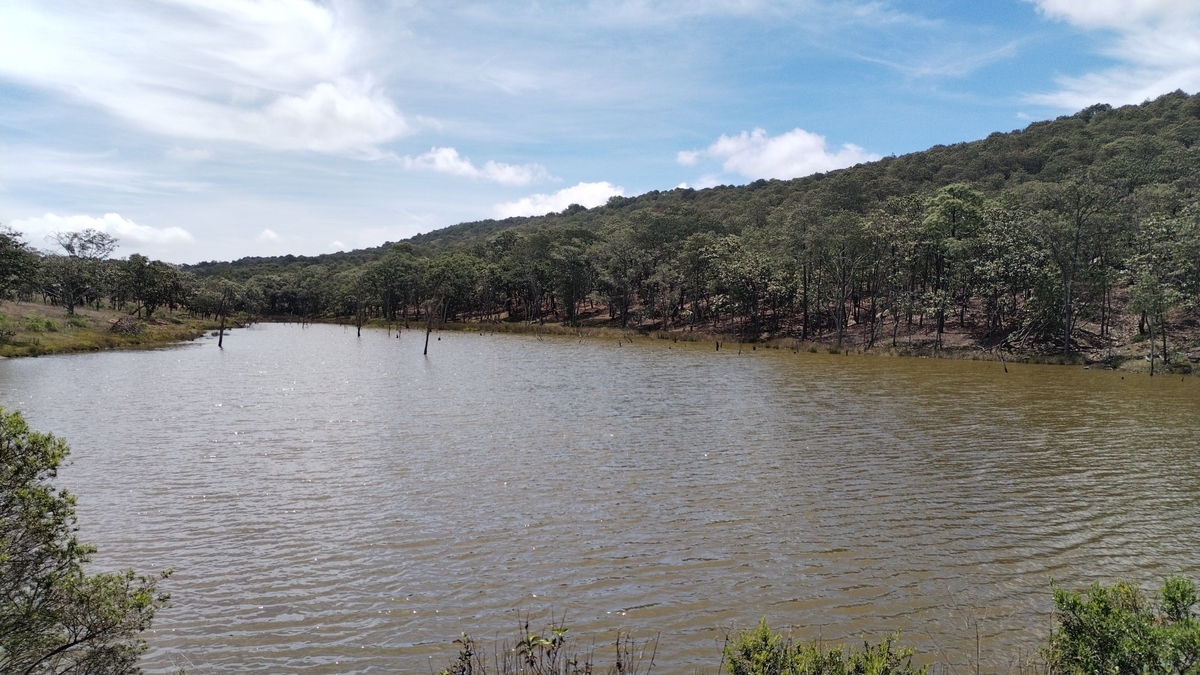 17 de 33: vista lago 4