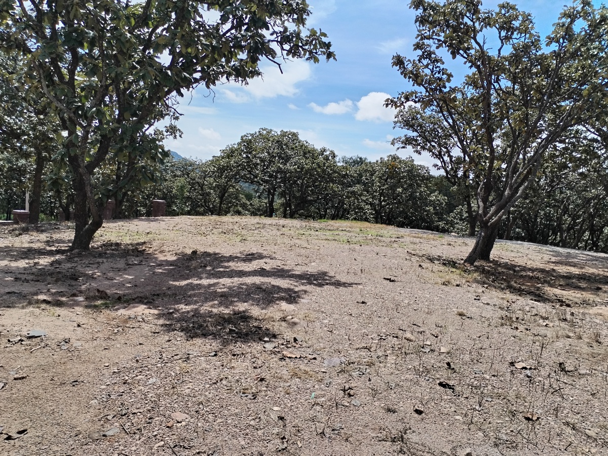 28 de 33: terrenos 2000m2