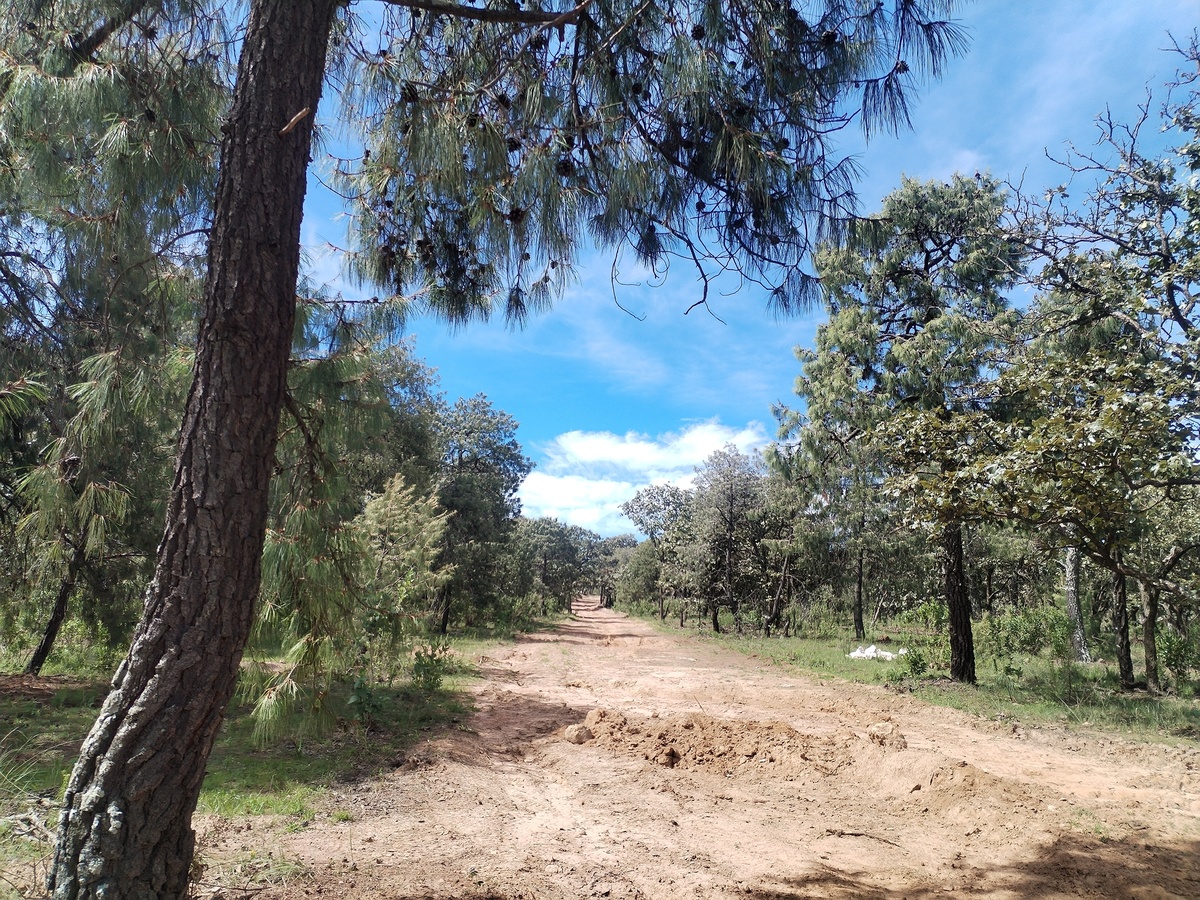 29 de 33: lotes y vistas lagos