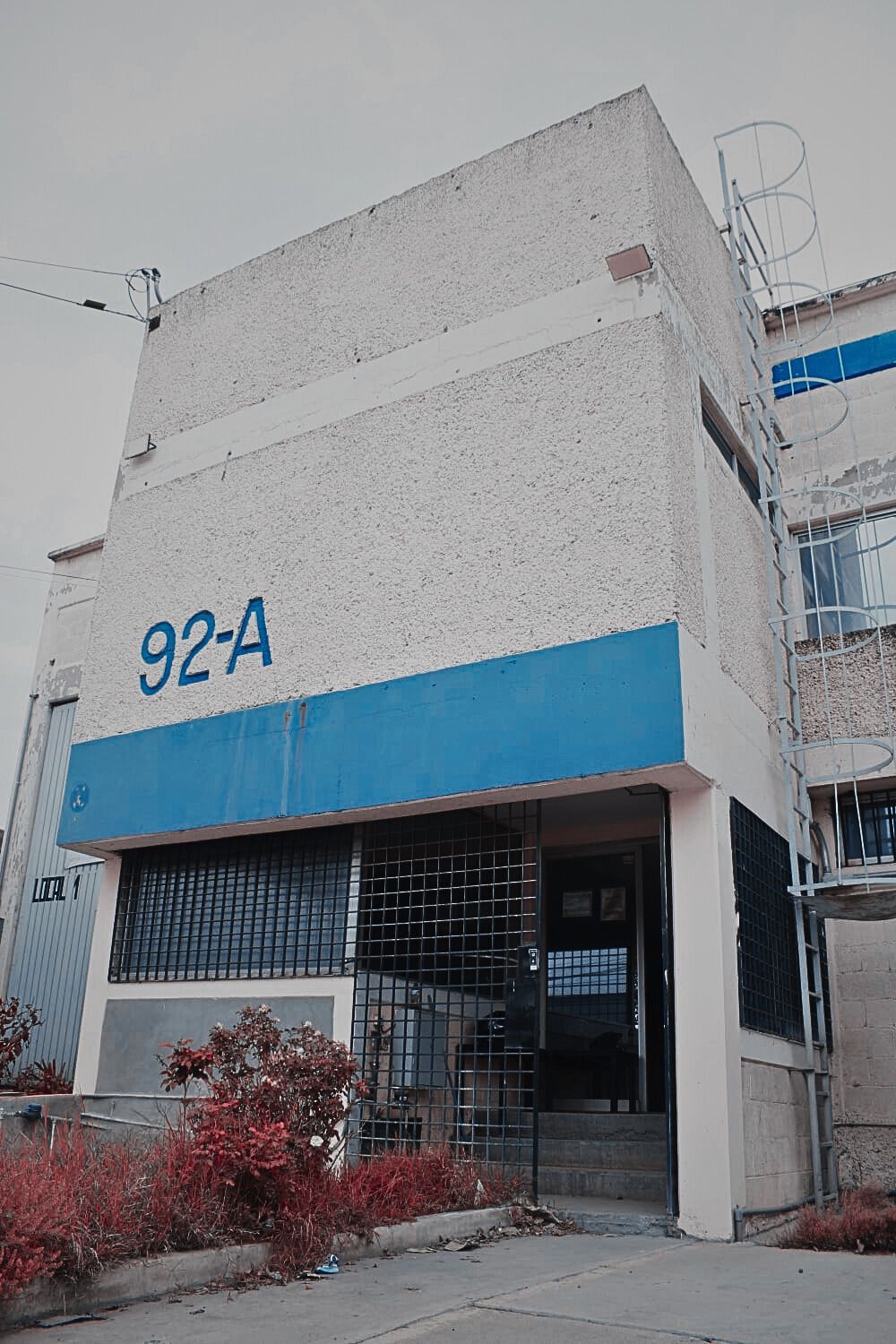 5 de 8