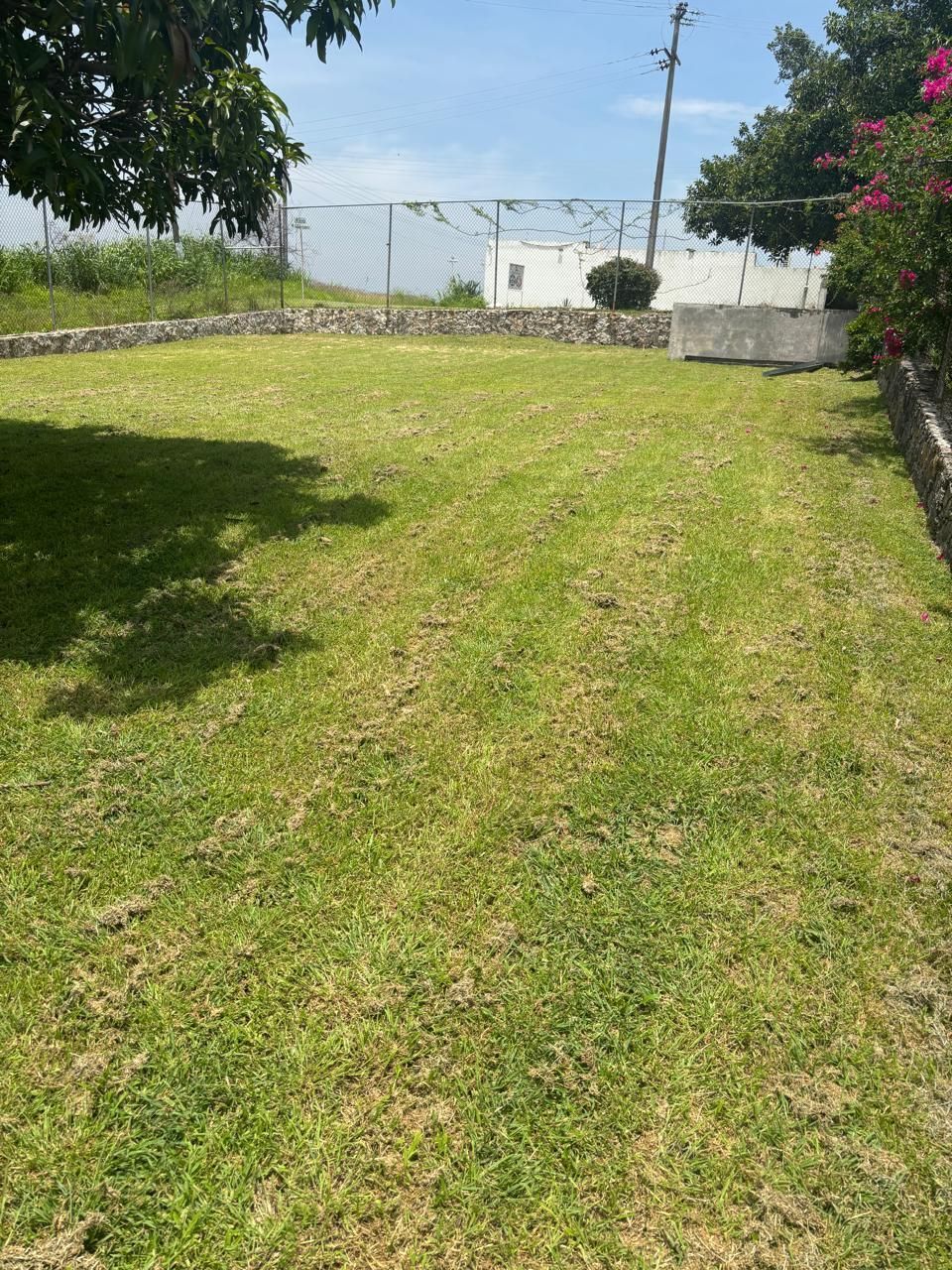 1 de 11