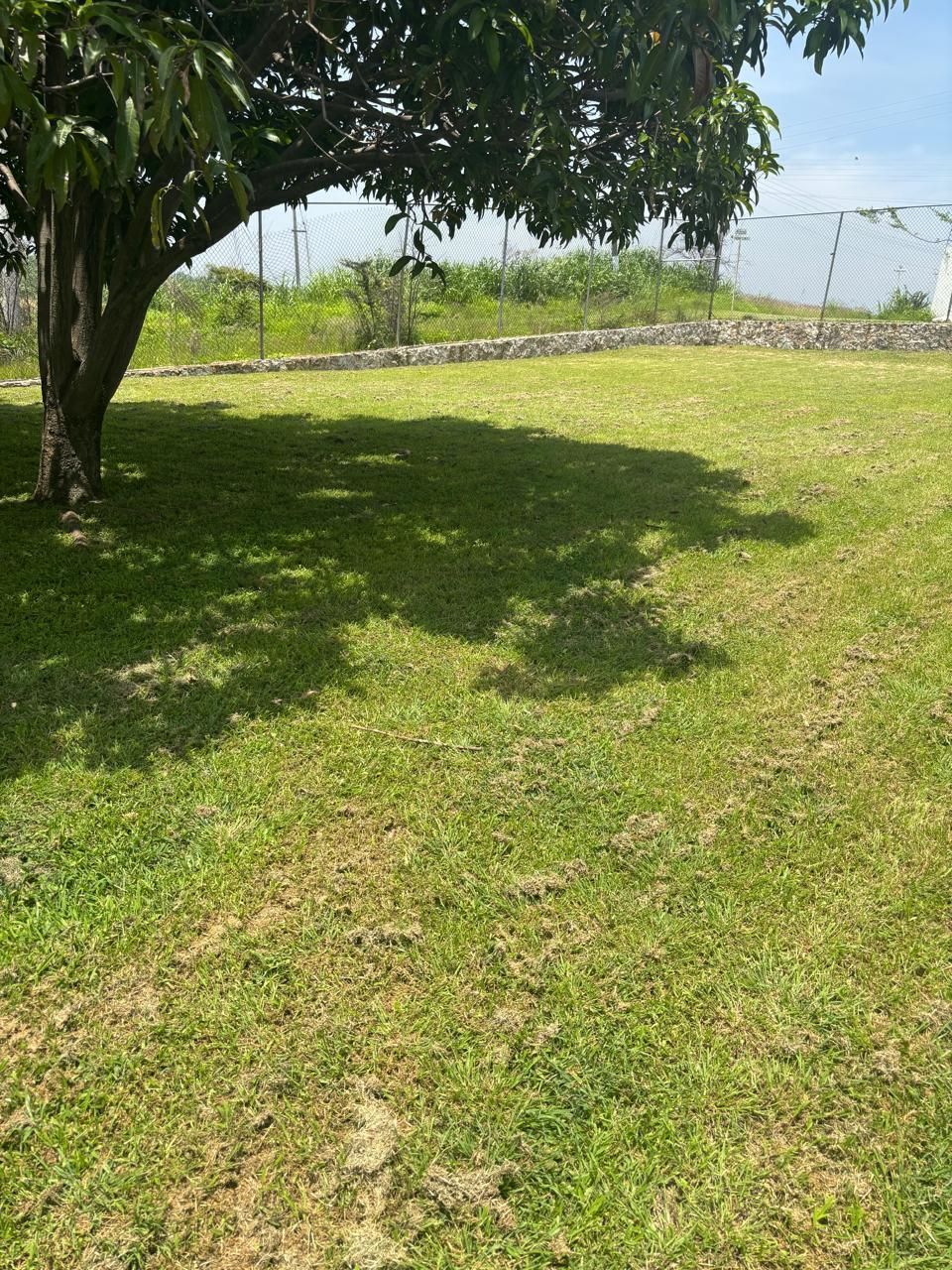 3 de 11