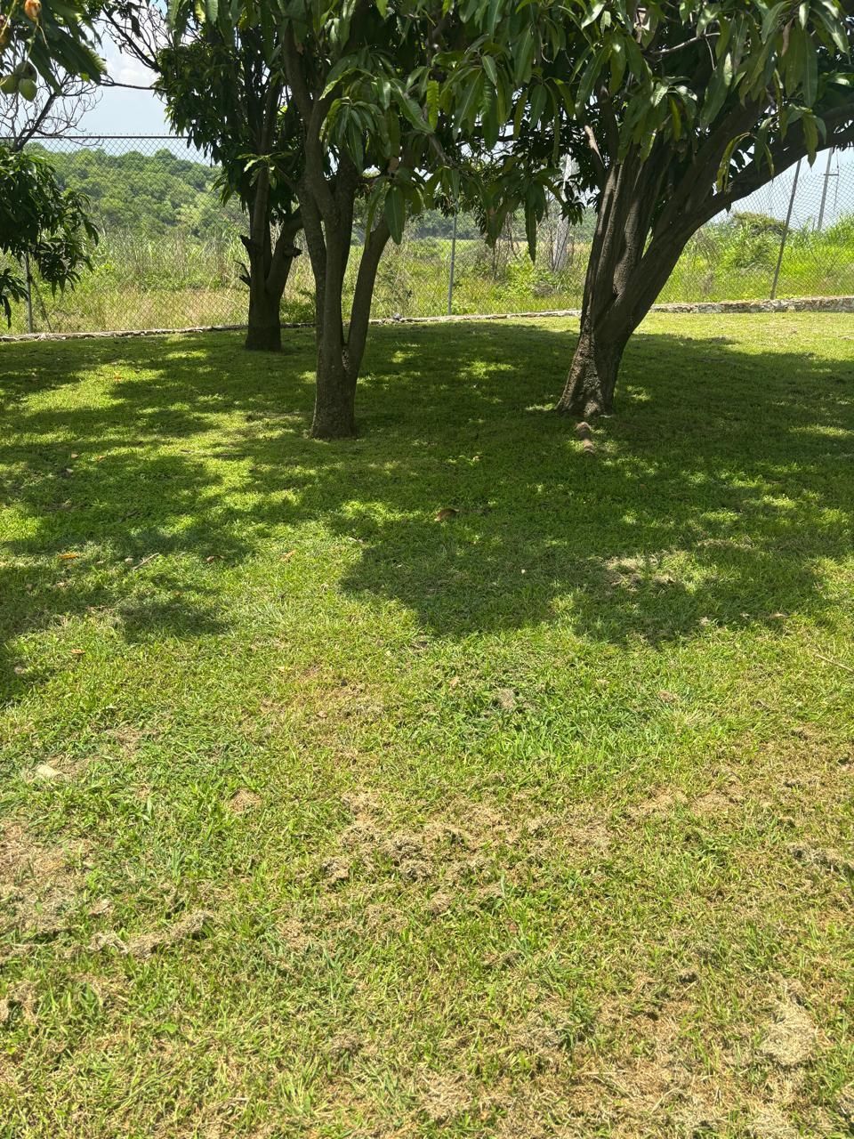 2 de 11