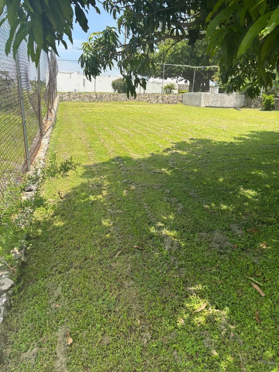 4 de 11