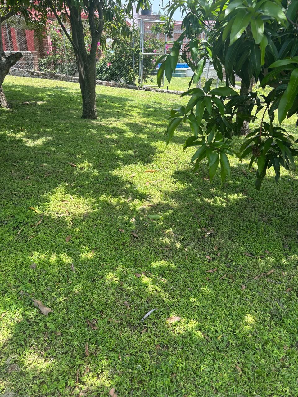 5 de 11