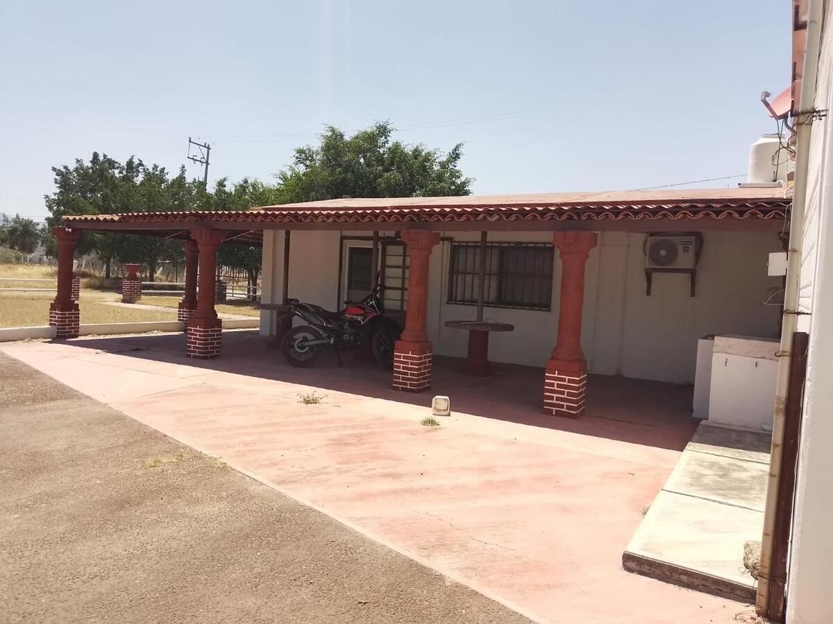 3 de 6