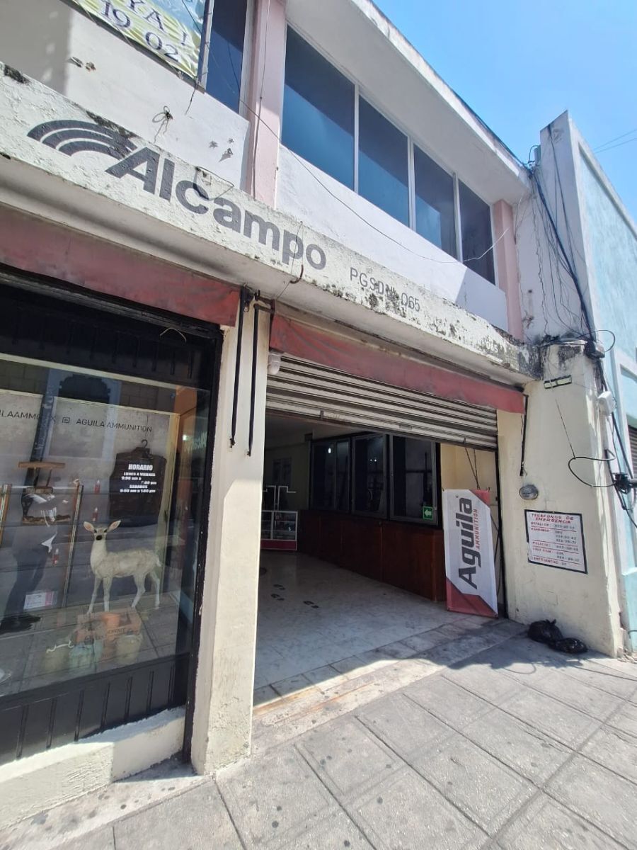 4 de 16