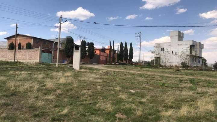 11 de 14
