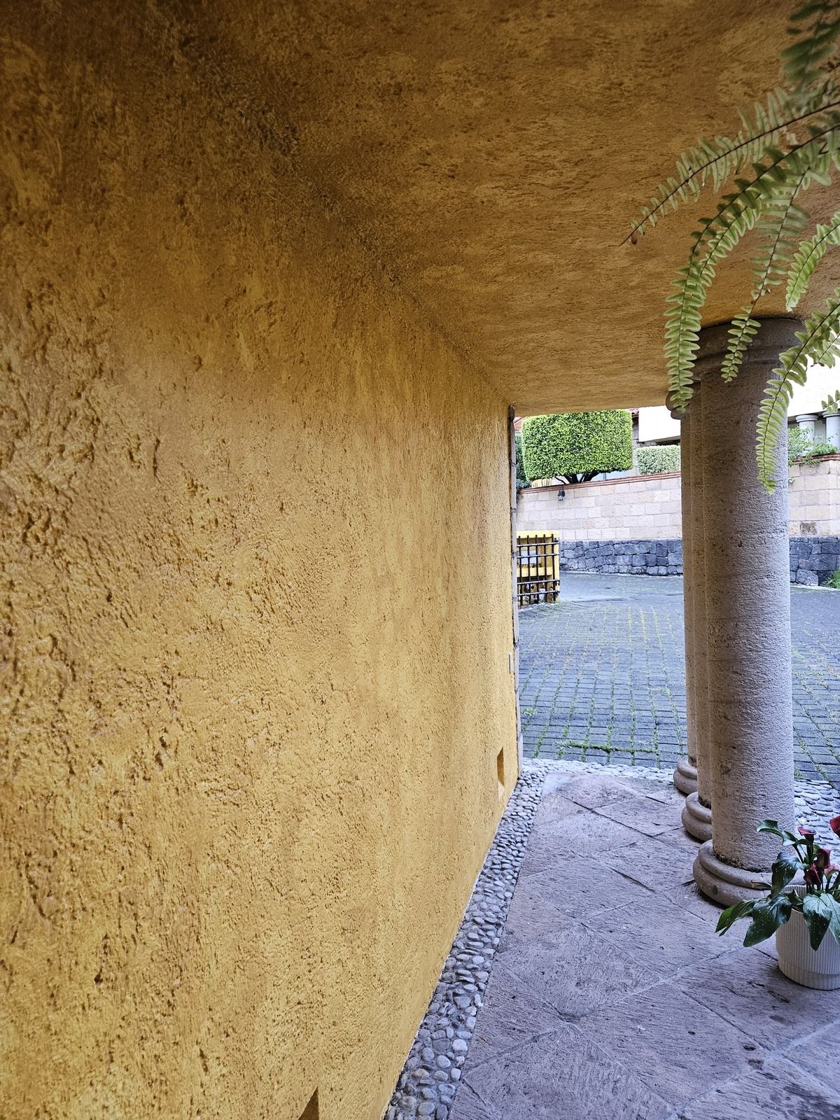 4 of 24