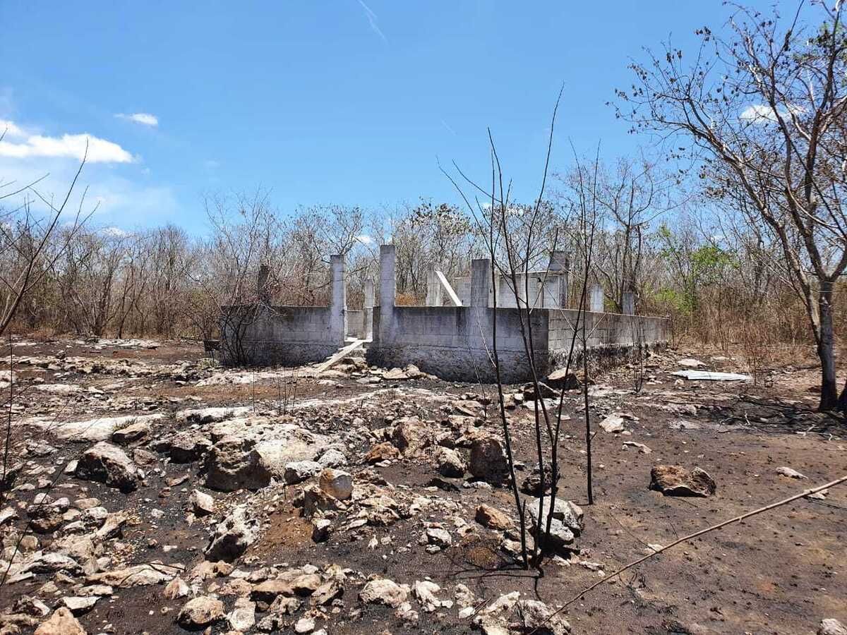 CON POSTES DE LUZ Y CALLE Terreno en venta todo o la mitad, en Telchac Pueblo - foto 4