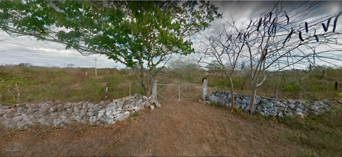 CON POSTES DE LUZ Y CALLE Terreno en venta todo o la mitad, en Telchac Pueblo - foto 3
