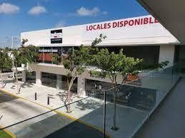 6 de 6