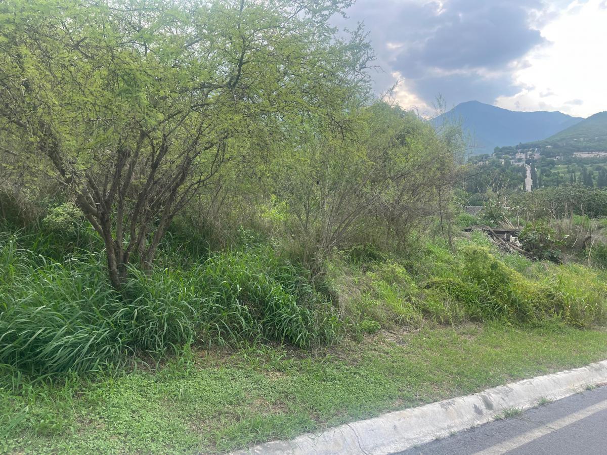 2 de 8