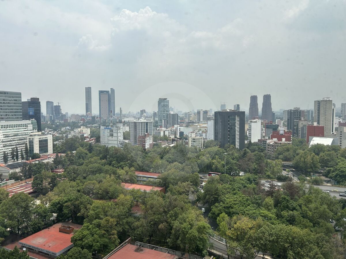 17 de 17