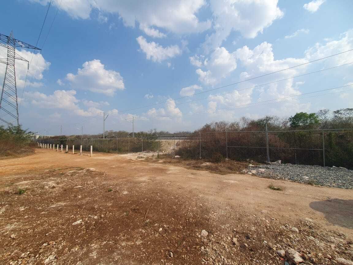 AL PASO Y VISTA DEL TREN MAYA Terreno en venta en Cacalchén, Yucatán - foto 5