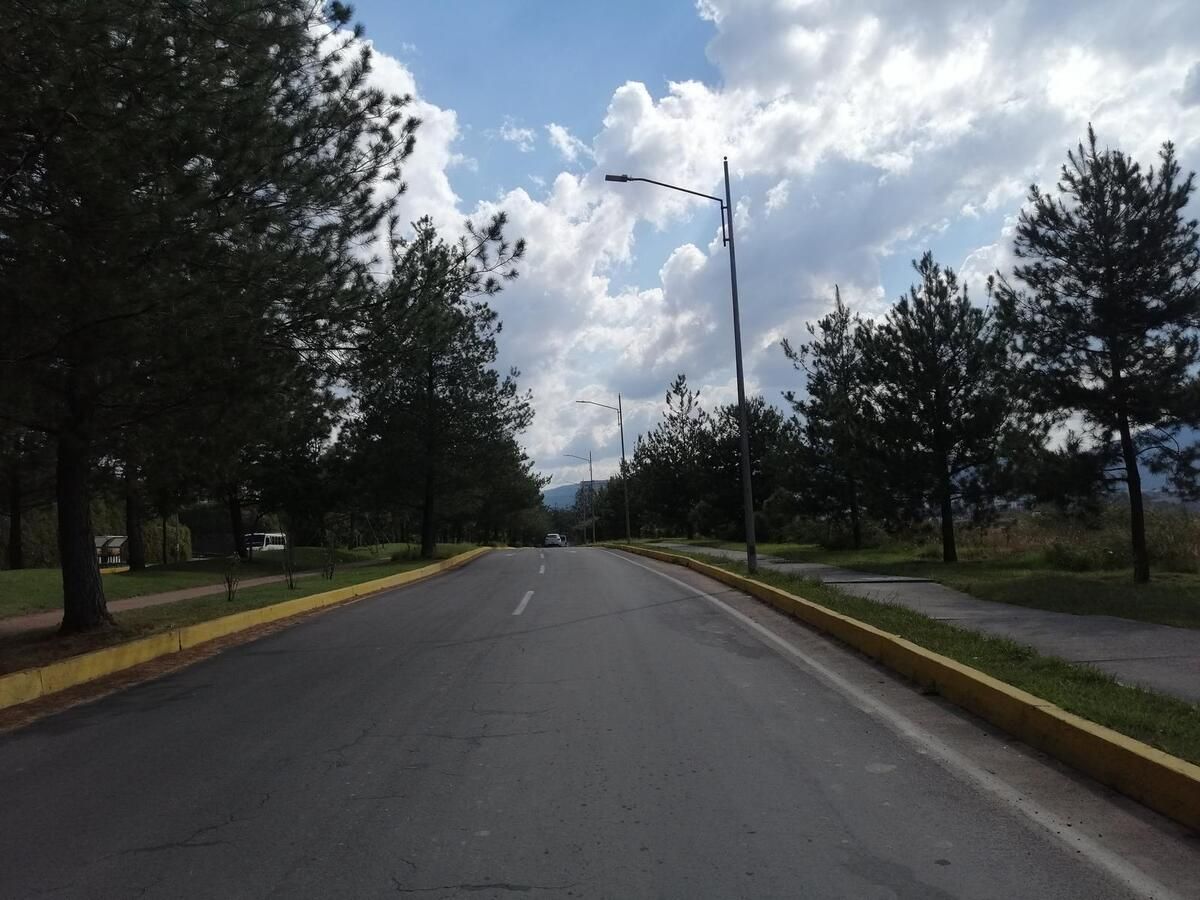 17 de 19