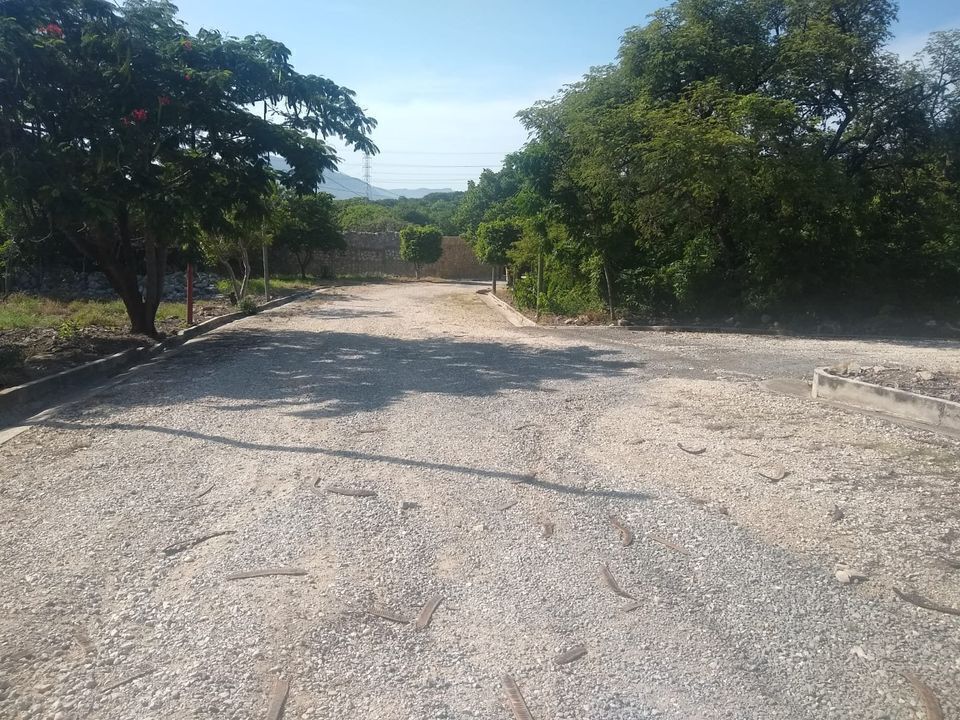 5 de 7
