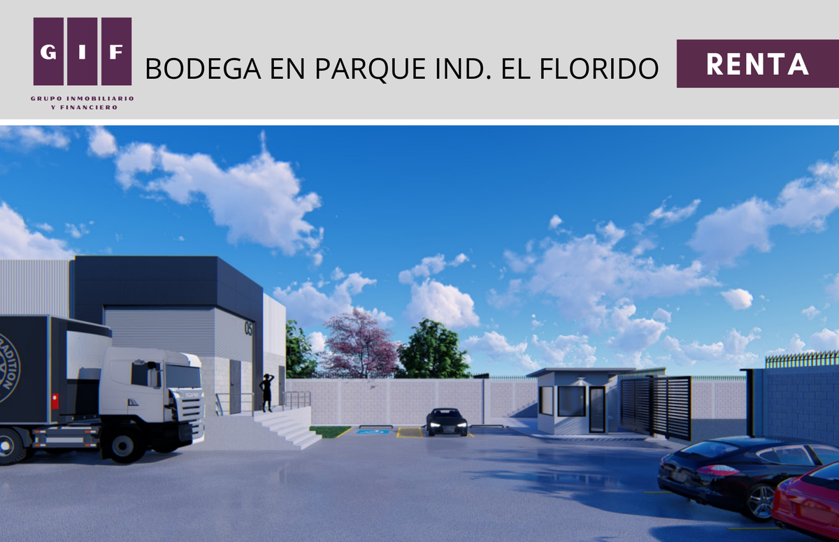 6 de 8