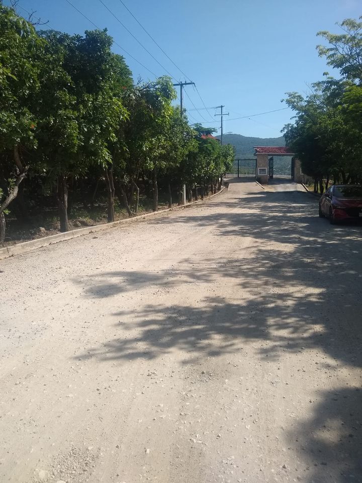 4 de 8
