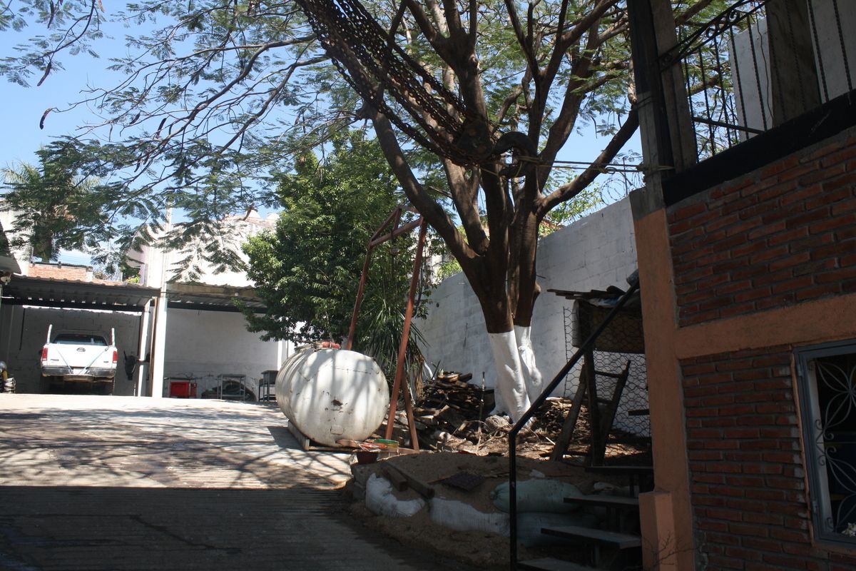 8 de 29