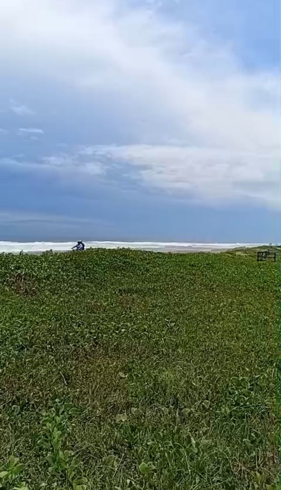 4 de 4