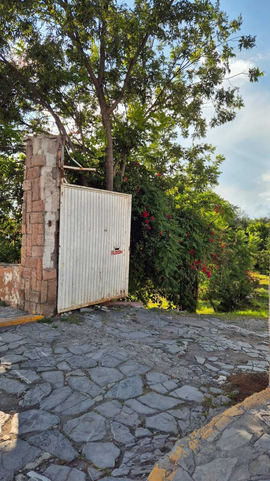 4 de 31