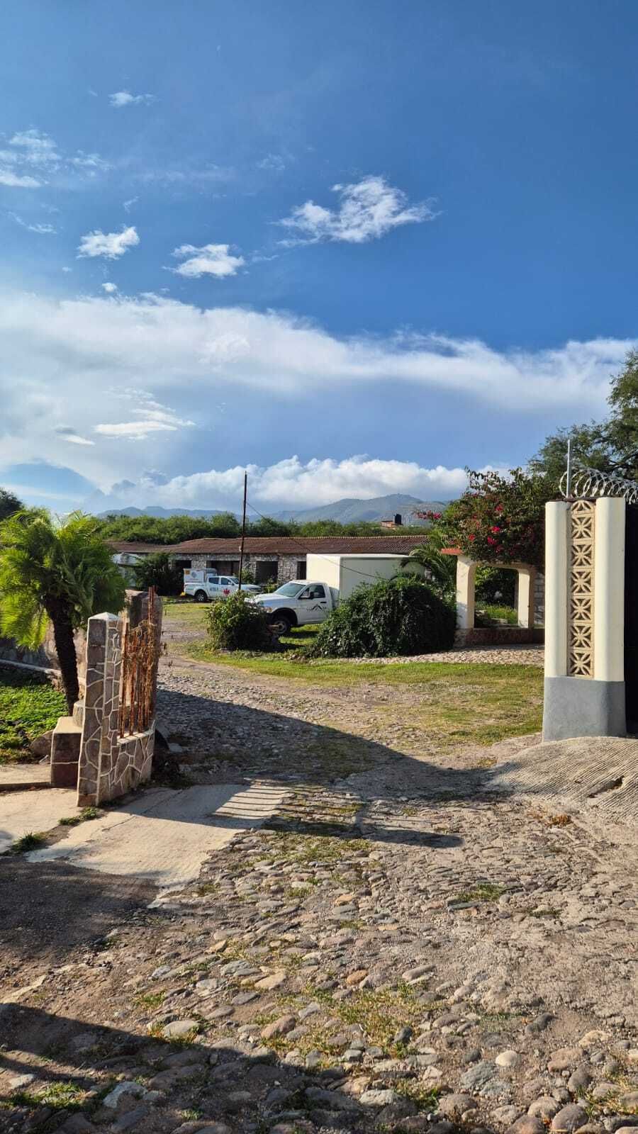 11 de 31