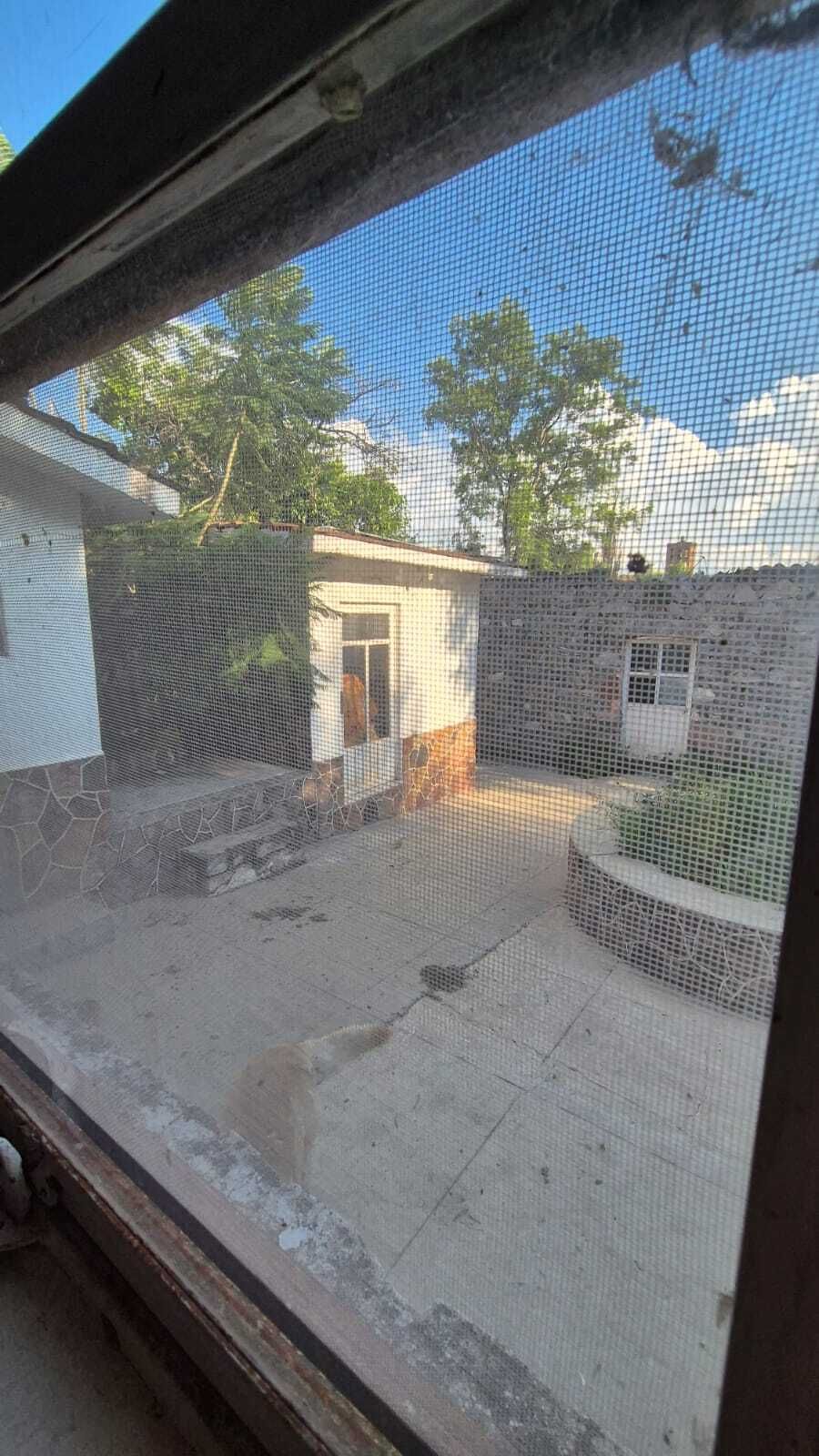 30 de 31