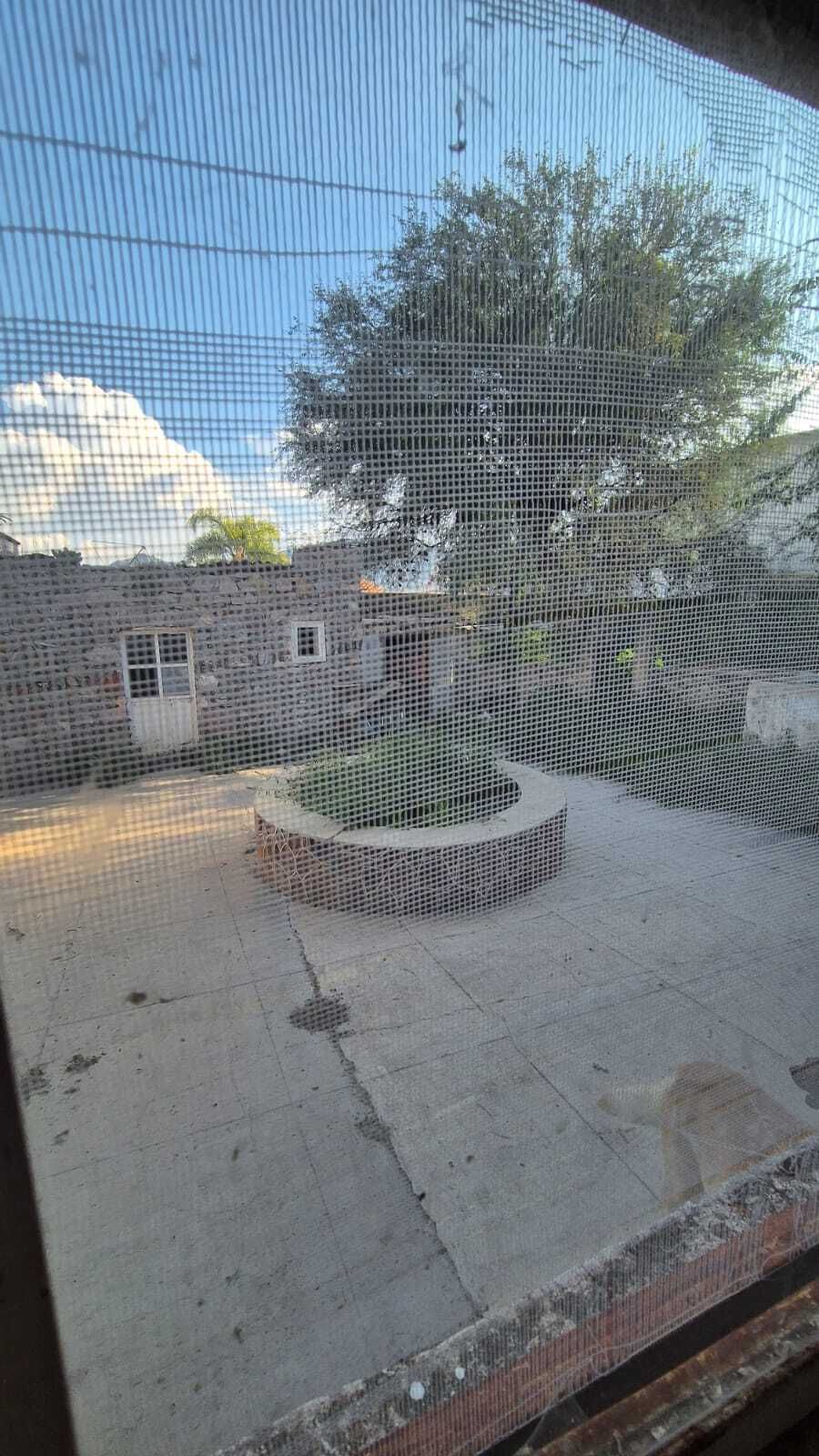 29 de 31