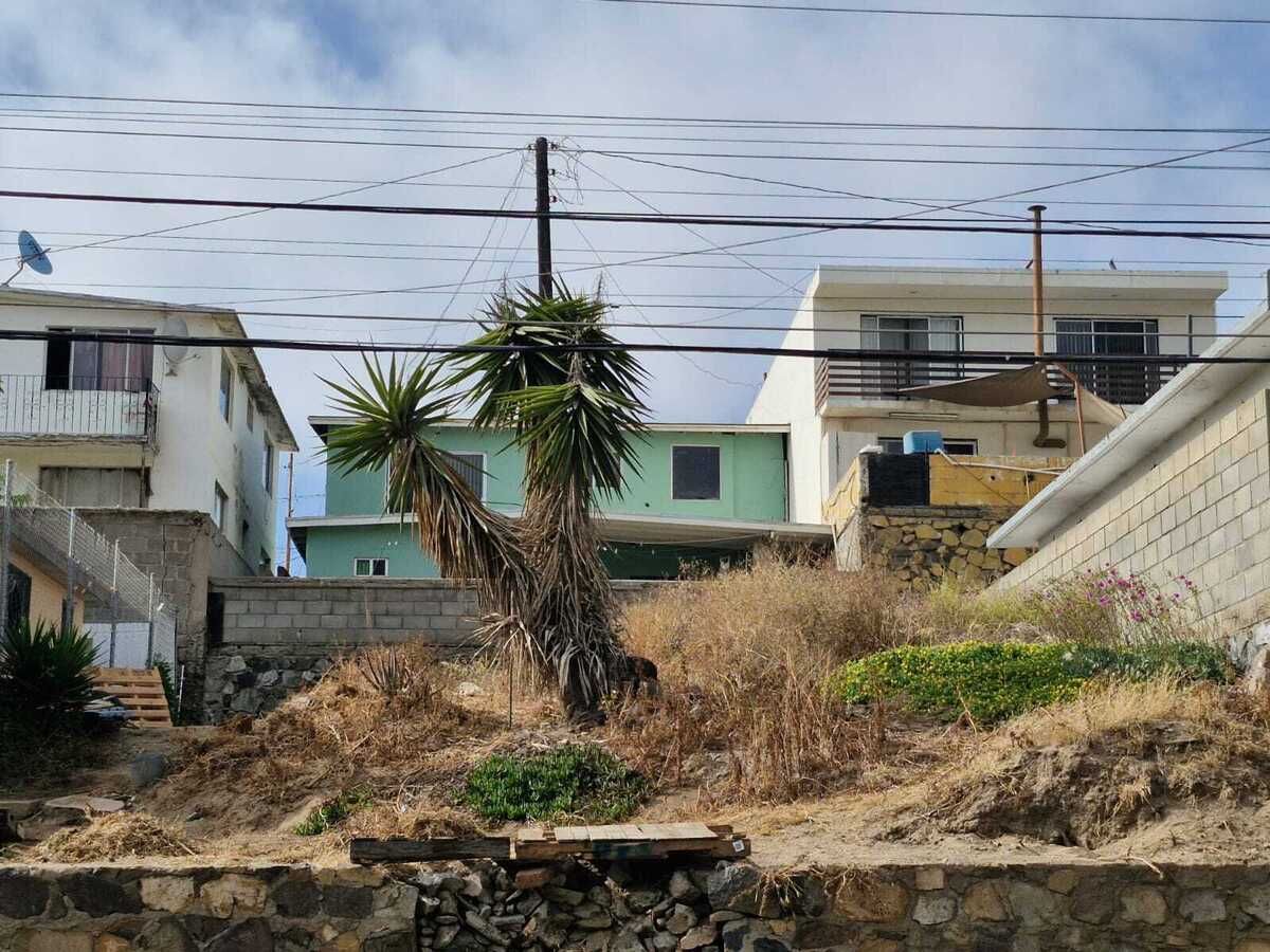 1 de 6
