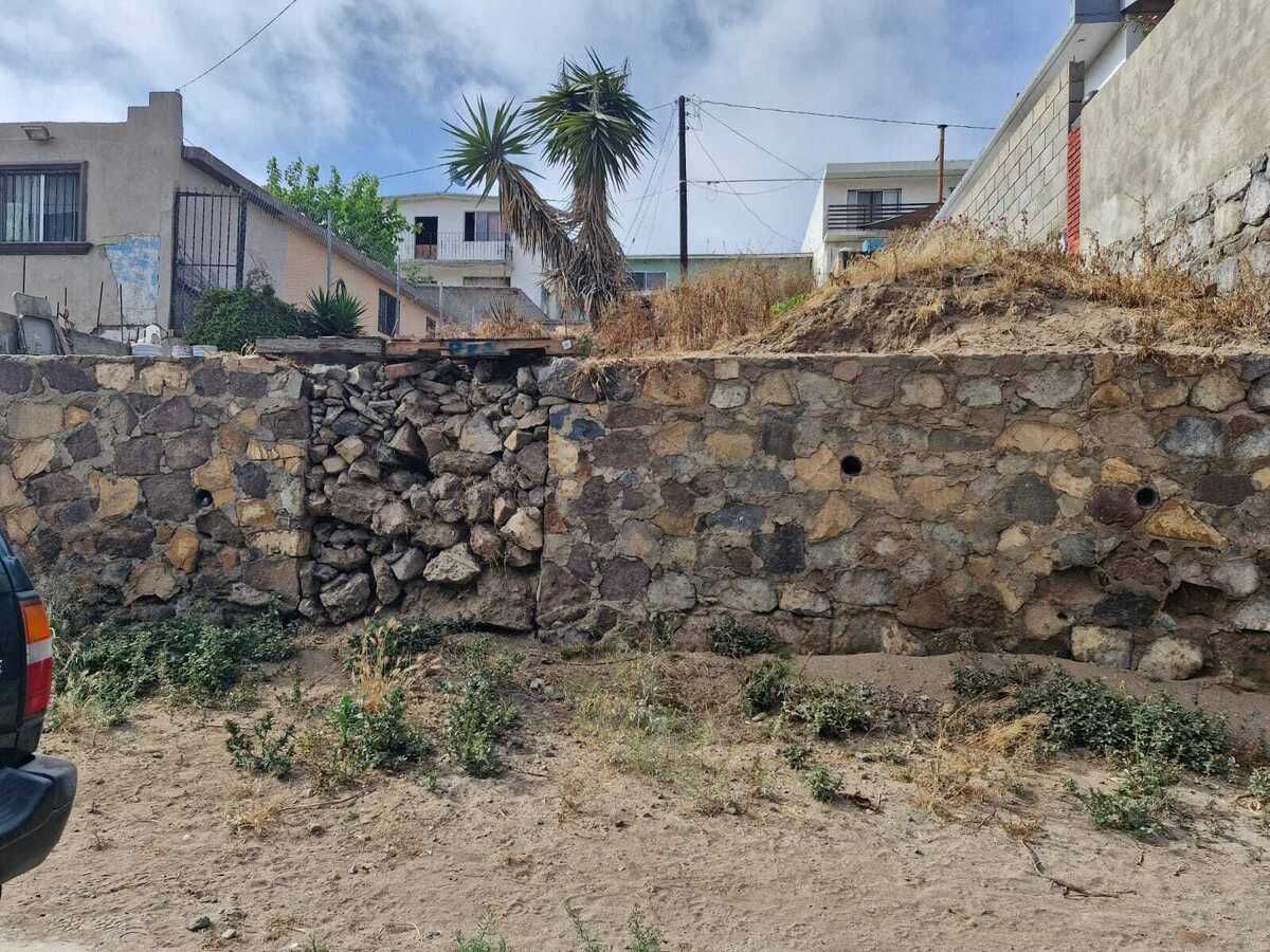 3 de 6
