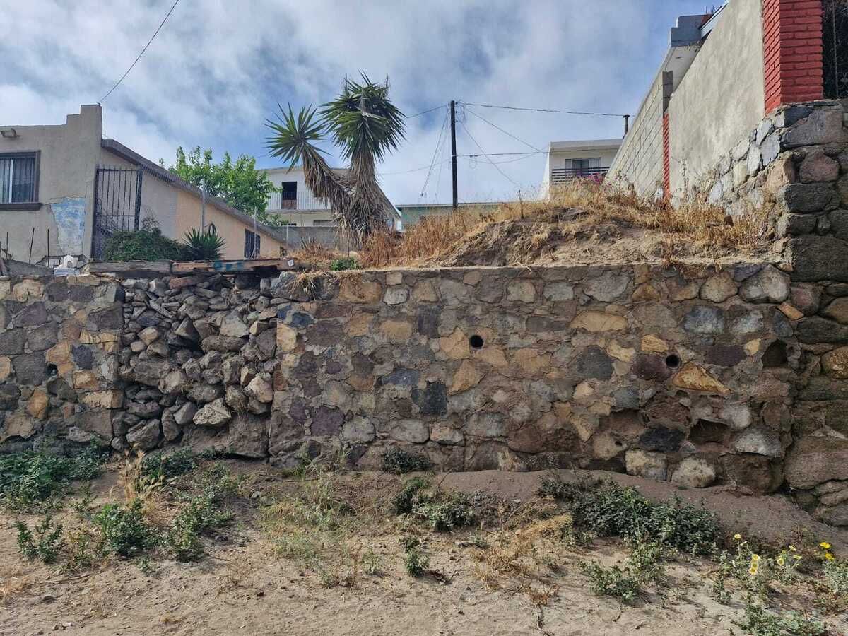4 de 6