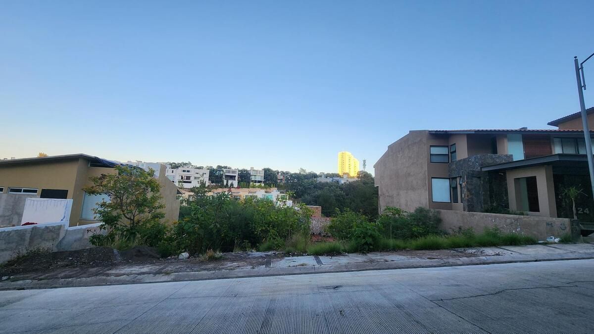 6 de 11