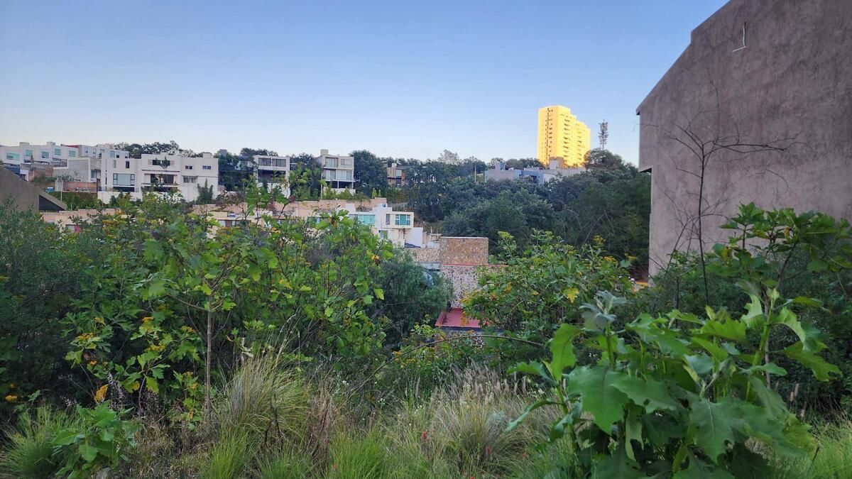 10 de 11