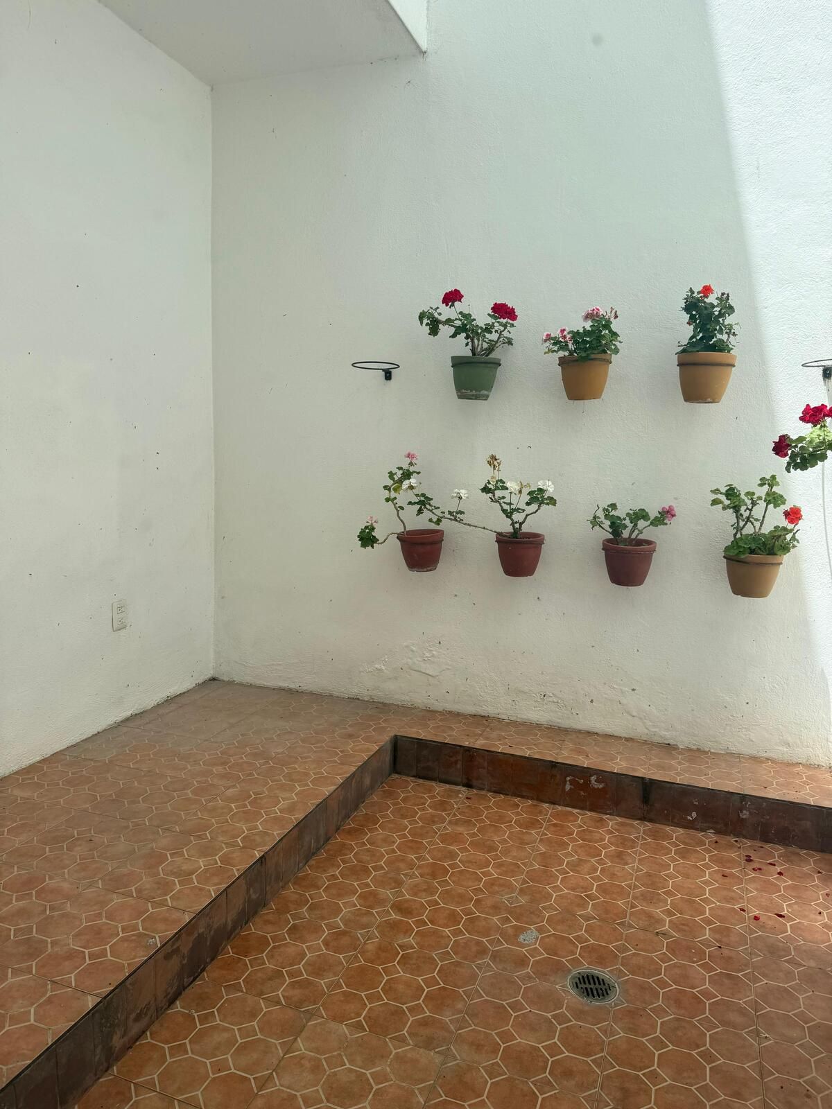 41 de 43
