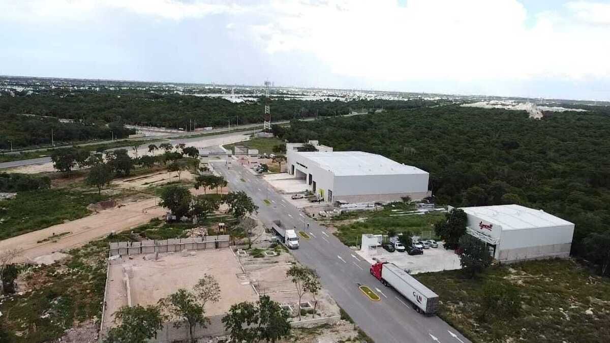 2 de 14