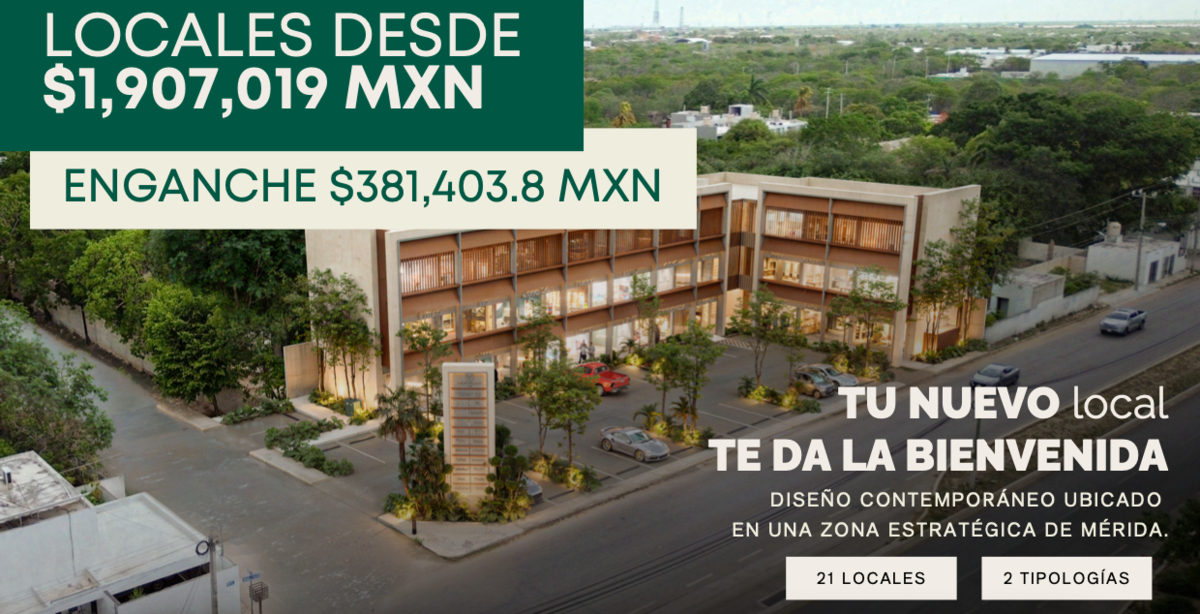 5 de 11