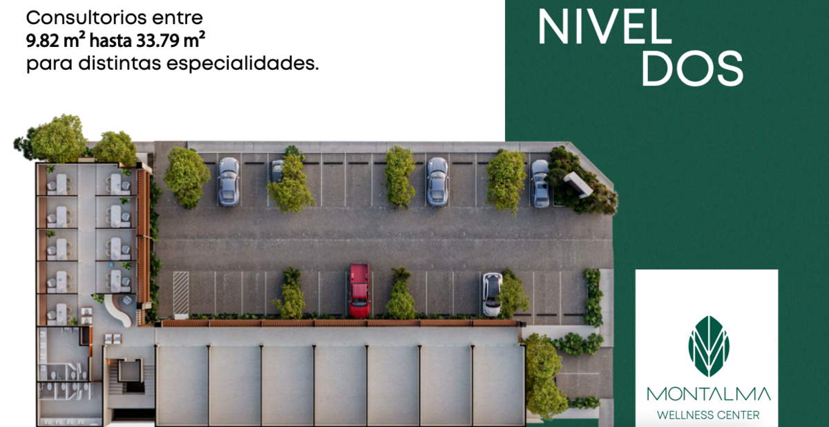 11 de 11